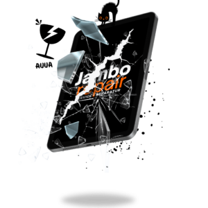 Apple iPad 10 Display Reparatur