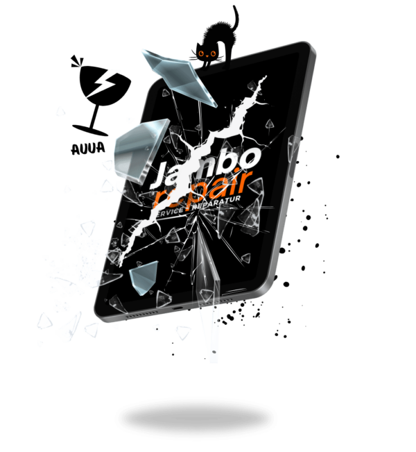 Apple iPad Air 13 (M2) Display Reparatur