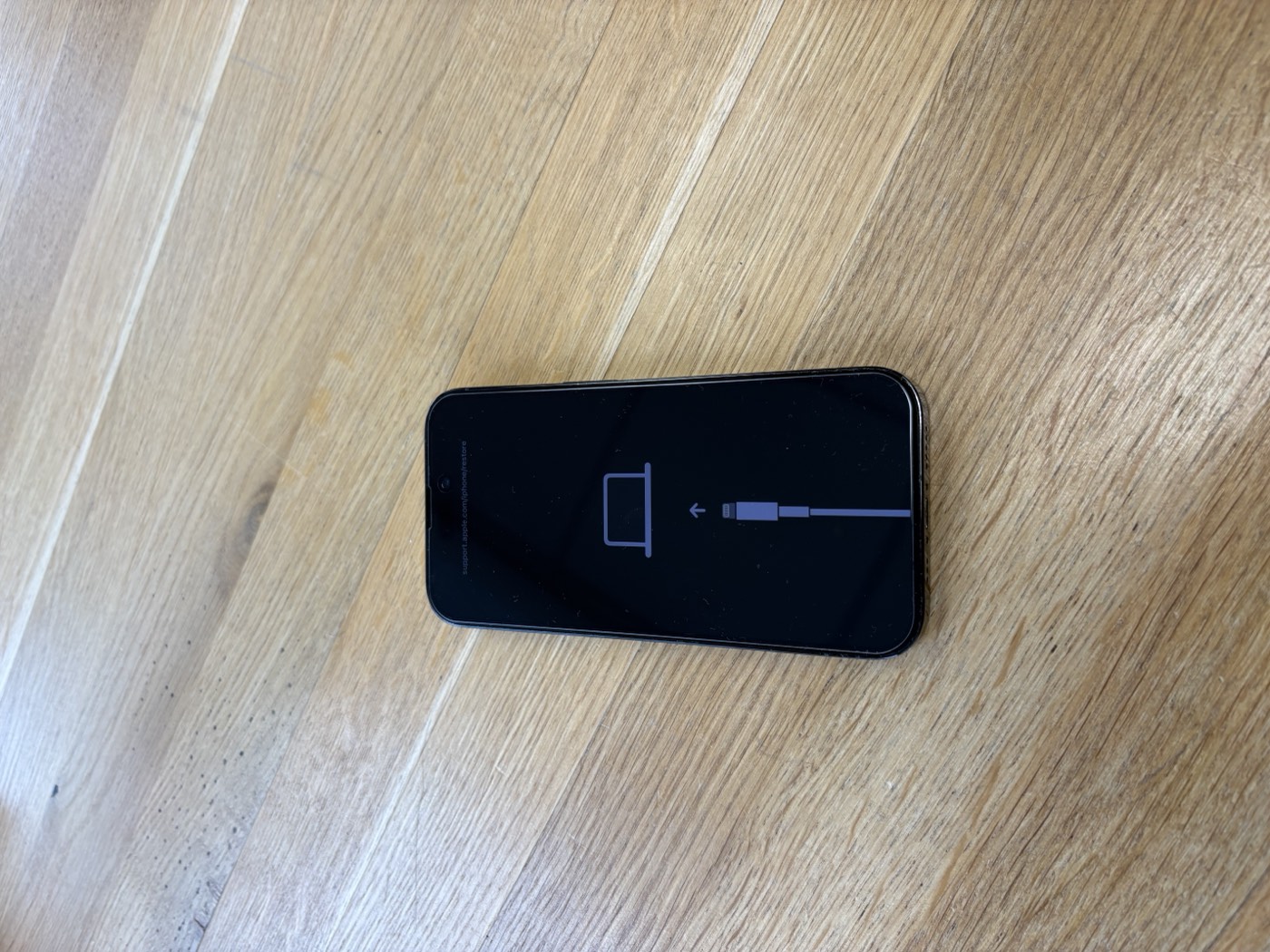 iPhone im Recovery-Modus mit Kabel-zum-Computer-Symbol auf dem Bildschirm